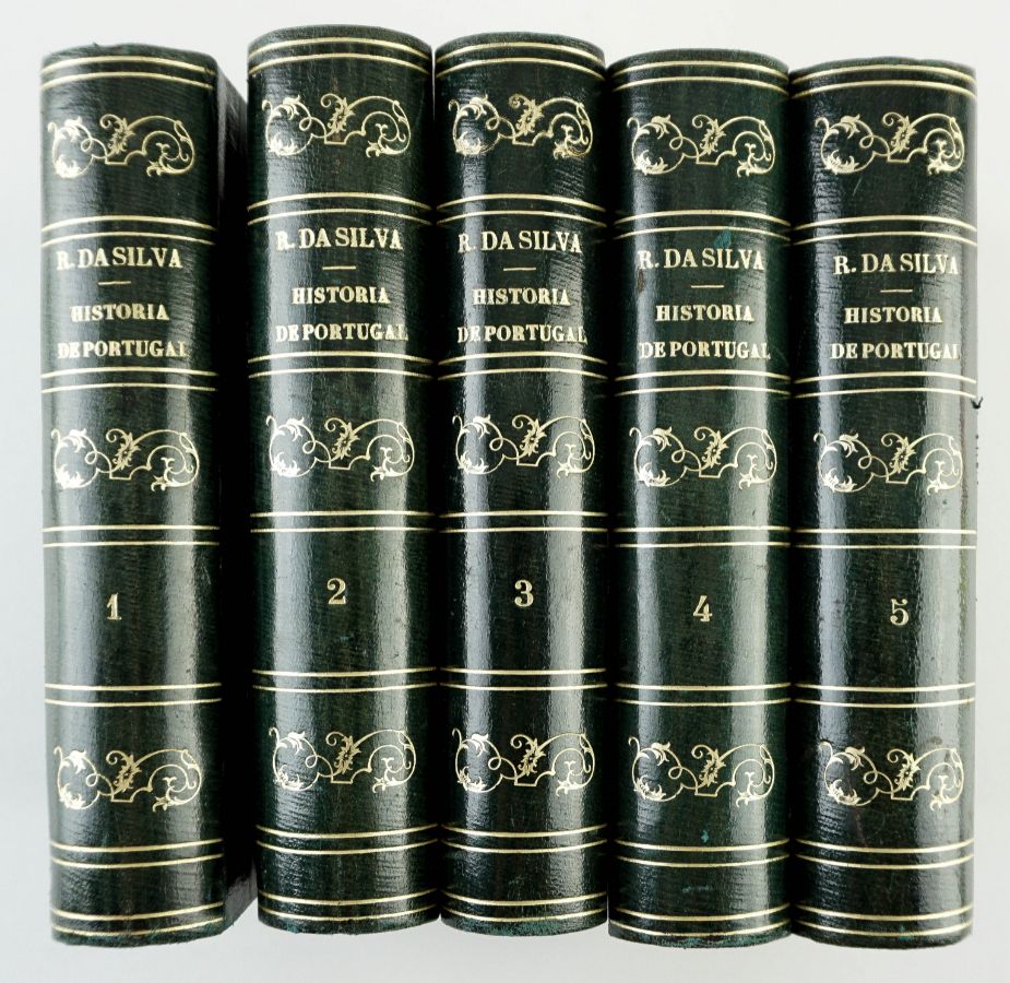 Rebello da Silva – História de Portugal (1860-1871)