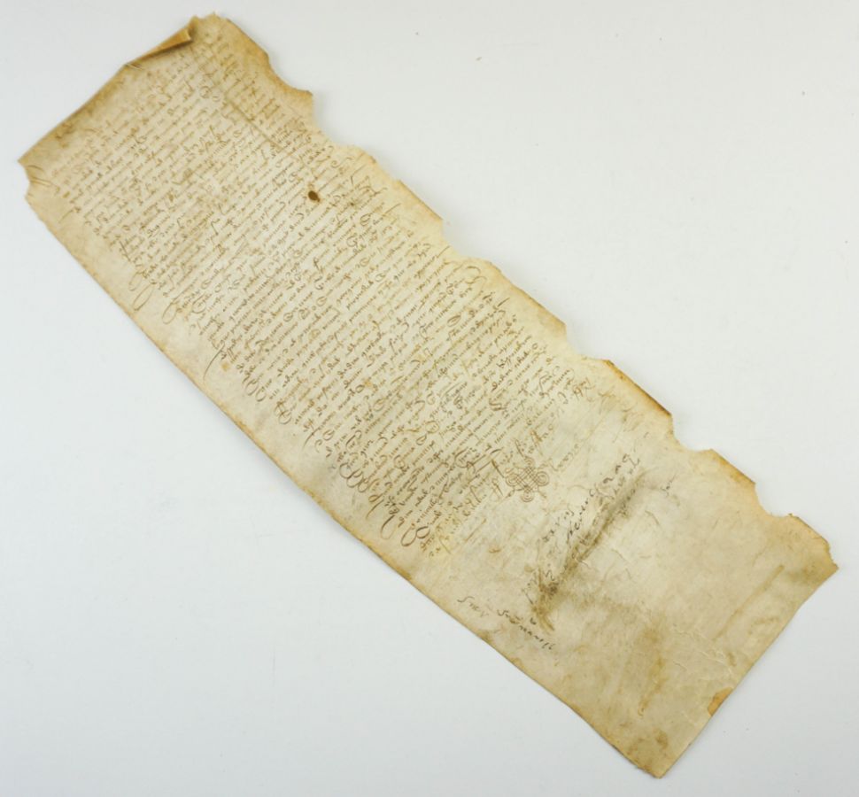 Manuscrito s/ pergaminho, 63 x 21 cm, assinado, com sinal público.