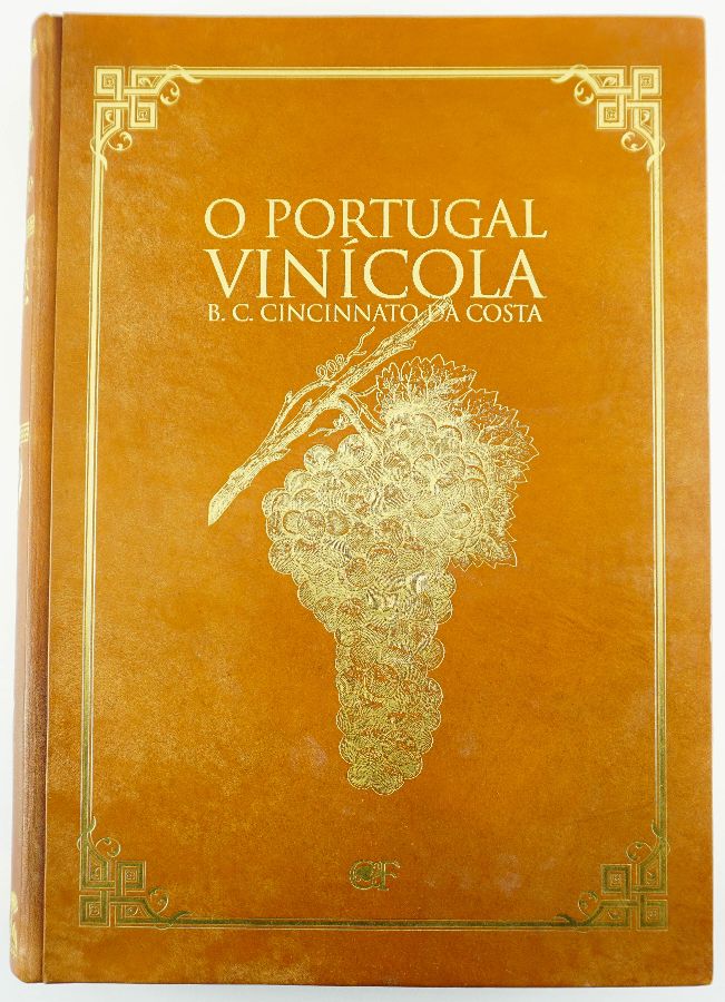 O Portugal Vinícola