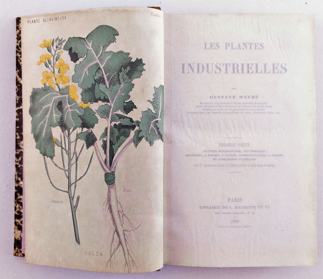 Les Plantes Industrielles (1859)