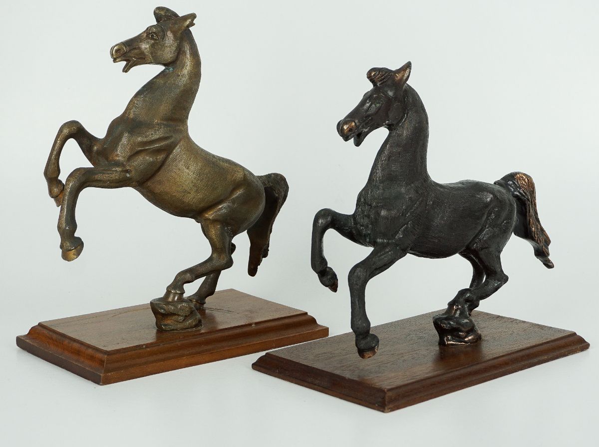 Dois cavalos