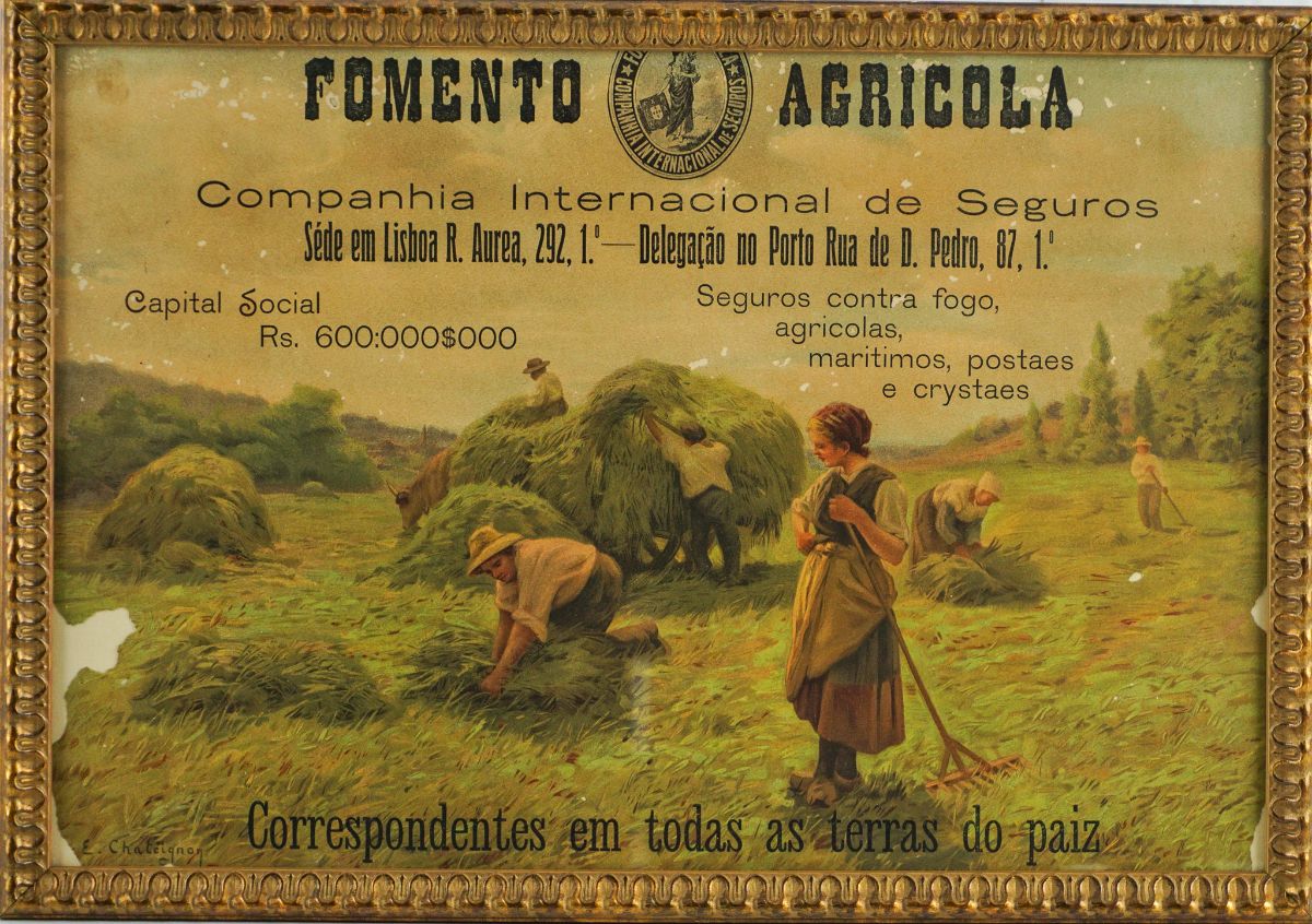 Fomento Agrícola Companhia de Seguros