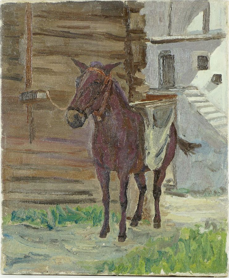 Cavalo