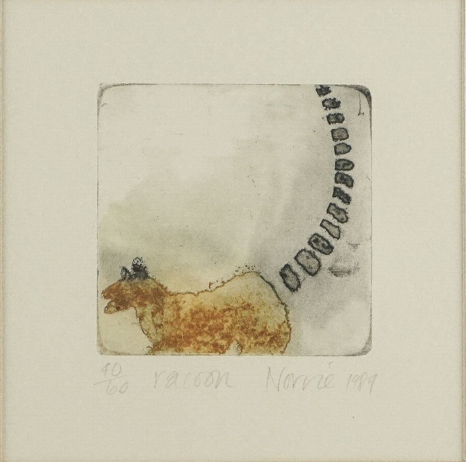 Susan Norrie