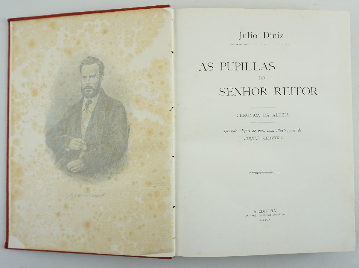 Júlio Diniz, As Pupilas do Senhor Reitor