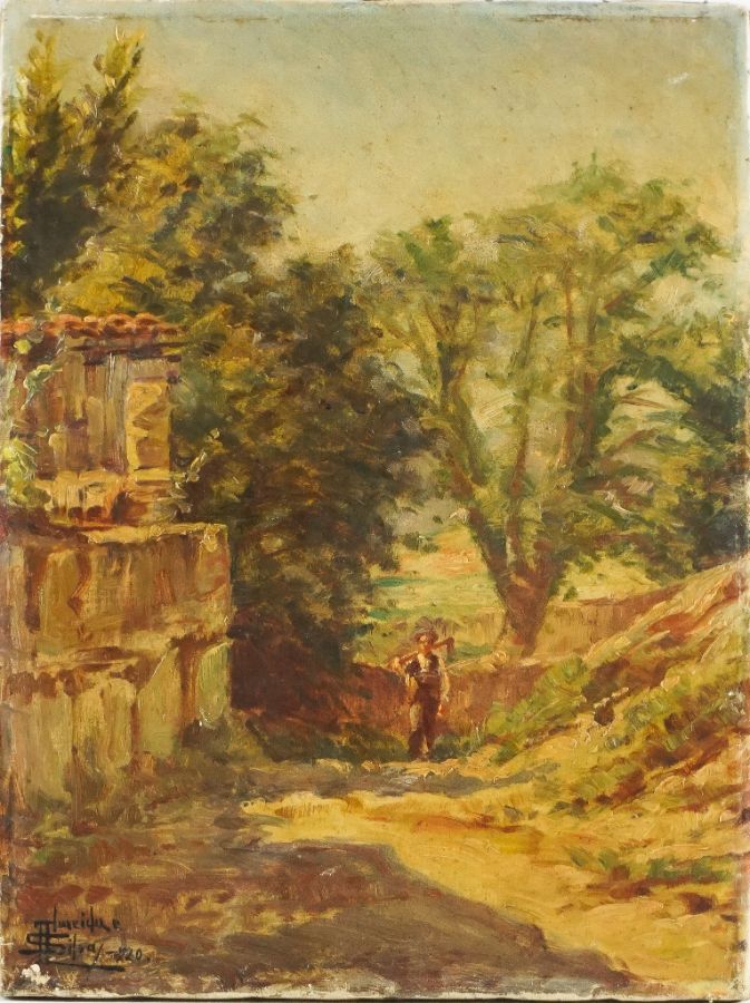 Almeida e Silva