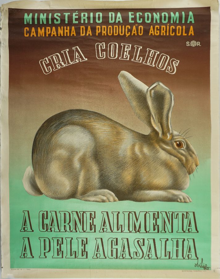 Cartaz