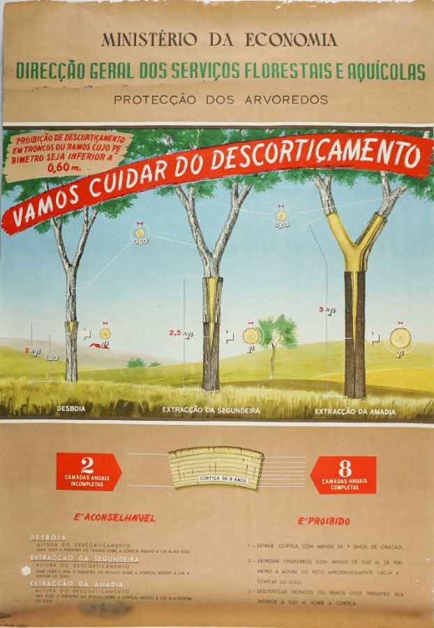 Cartaz