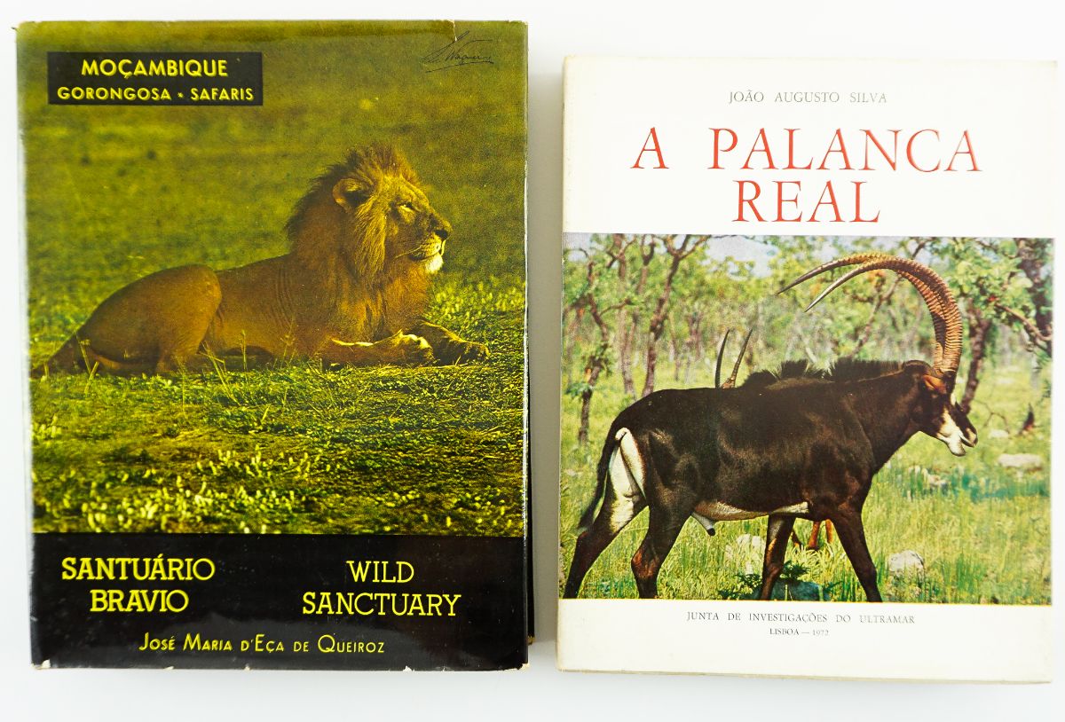 Fauna Africana