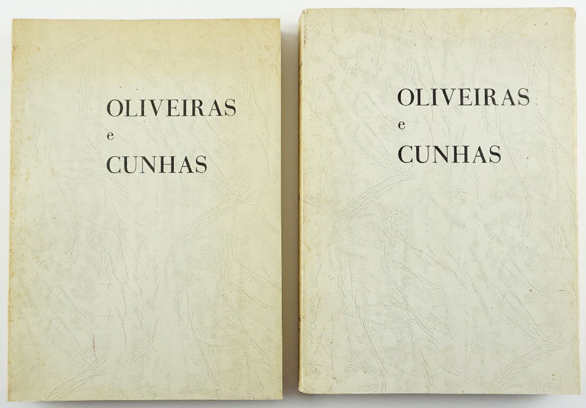 Oliveiras e Cunhas da “Casa do Outeiro “ Termo do Fundão