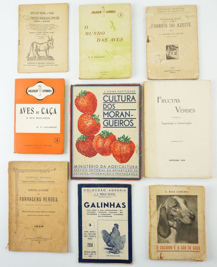 Livros antigos sobre agricultura, nove livros