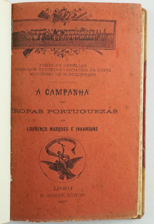 Campanhas de Moçambique (1895)