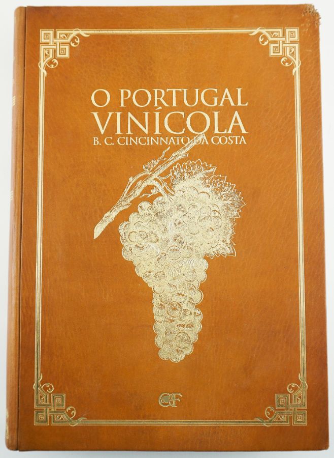 O Portugal Vinícola