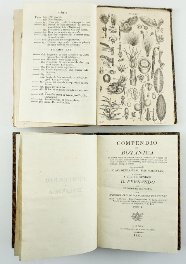 Compendio de Botânica – 1788