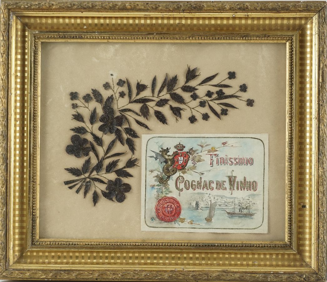 Finissimo Cognac de Vinho