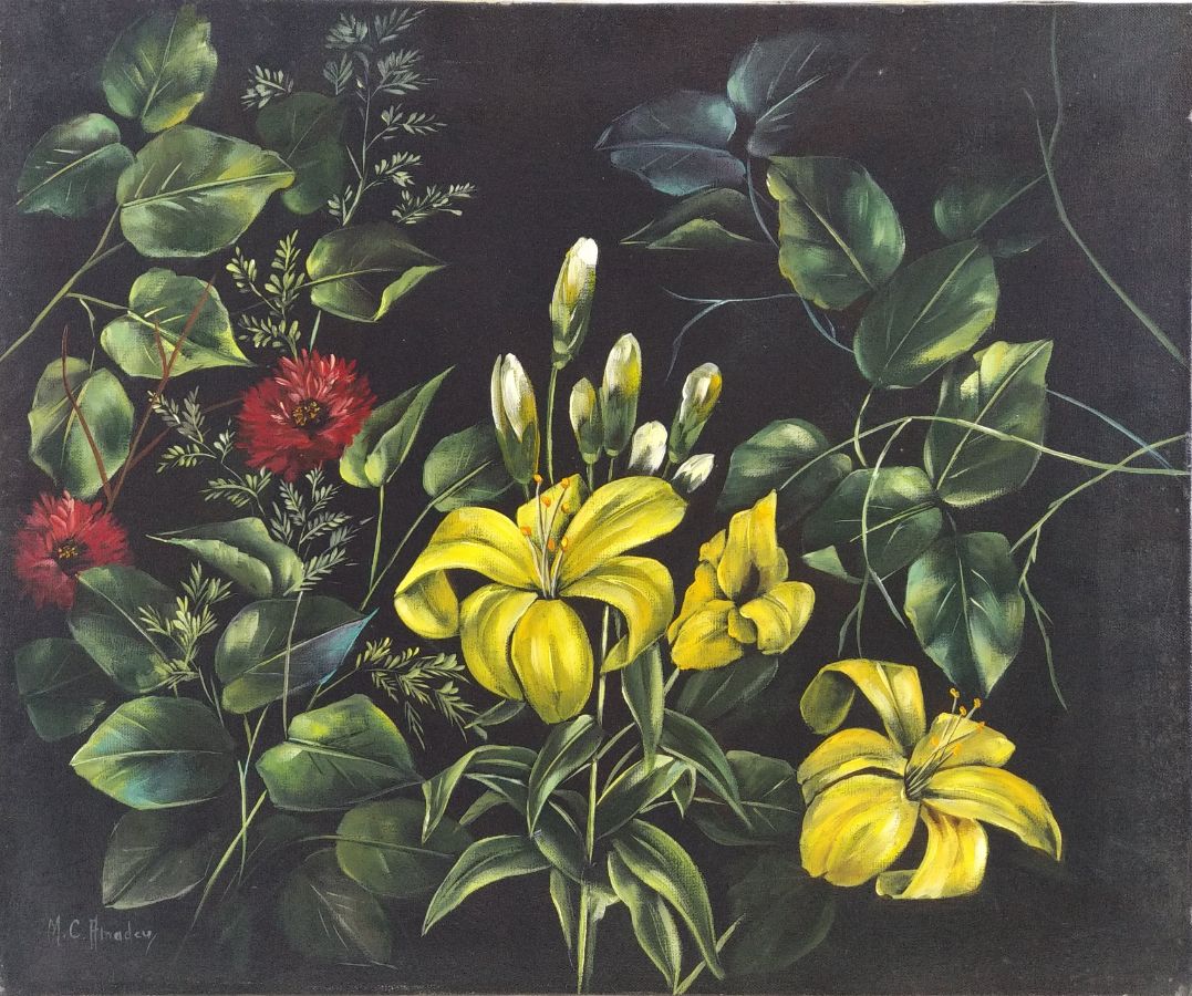 M.C. Amadeu 